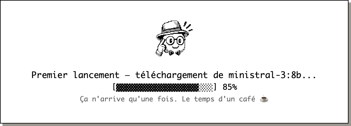 Premier lancement de Stanislas : téléchargement du modèle local